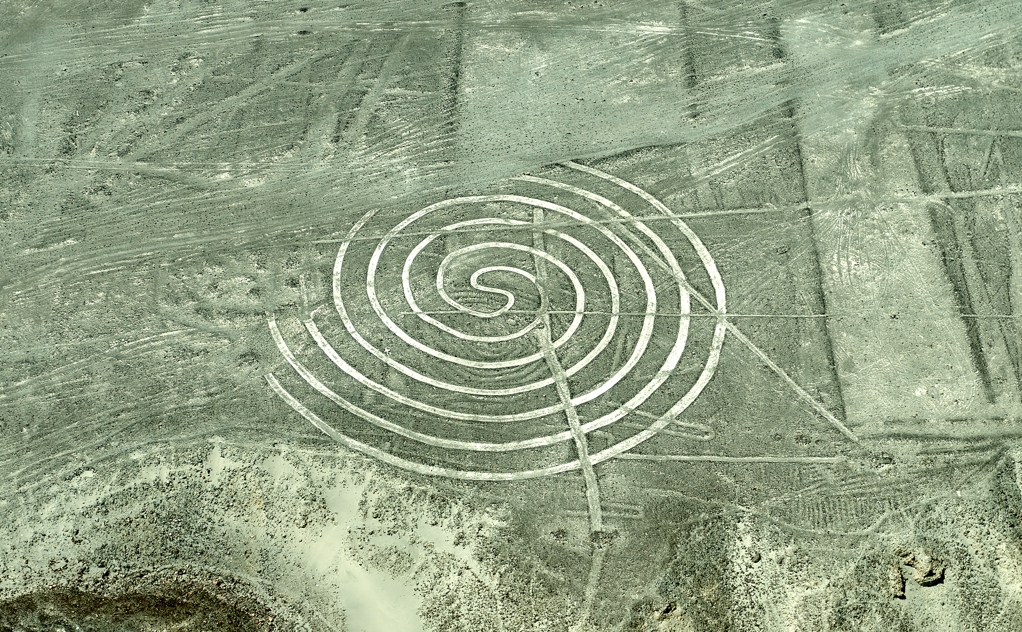 20200305 324 [페루] 나스카 라인